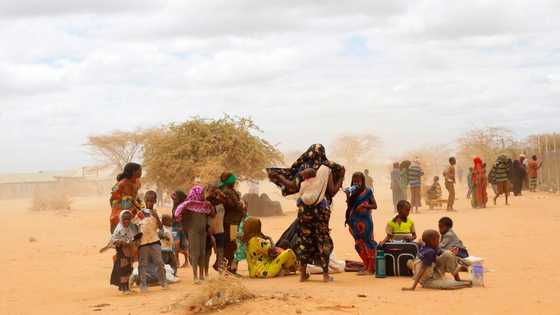 Concerns as heatwave hits Borno, Kano, other northern states