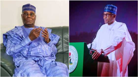 2023 presidency: After meeting with Buhari, APC boss spills on Atiku's chances