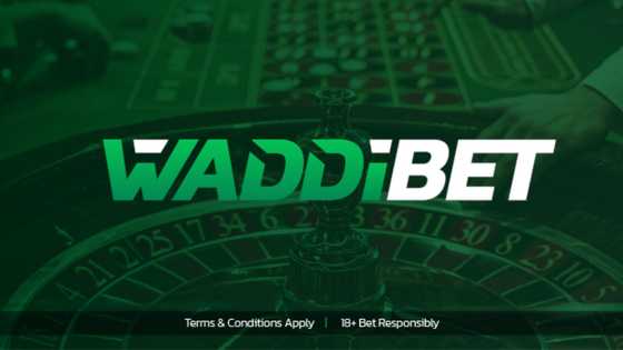 Nigerian bettors cheer big win prediction feature at Waddibet launch
