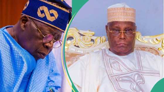 Chicago State University: “This entire thing is a case of stolen identity”, Atiku’s camp alleges