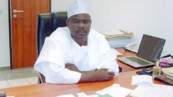 Abin da yasa ban ce a sauke shugabannin hafsoshin tsaro ba — Ndume