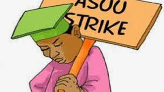 ASUU: Dalibai Sun Koka Kan Yajin Aikin Da Ya Ki Karewa, Sun Aike Sako ga FG