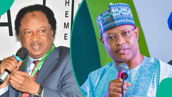 Daga shigarsa APC, Shehu Sani ya fara kalamai kan takarar Uba Sani a 2027