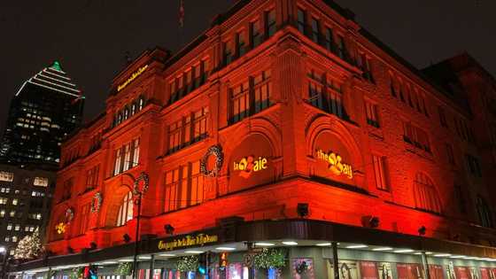 Hudson's Bay Company: from fur trade to department store downfall