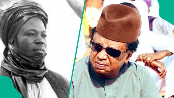 Tsohon Sanata, Shehu Sani ya fadi silar lalacewar lamura a Najeriya