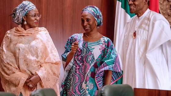 Babban Goro: Dalla-Dalla na adadin kudade da fadar shugaban kasa za ta kashe a shekarar 2019