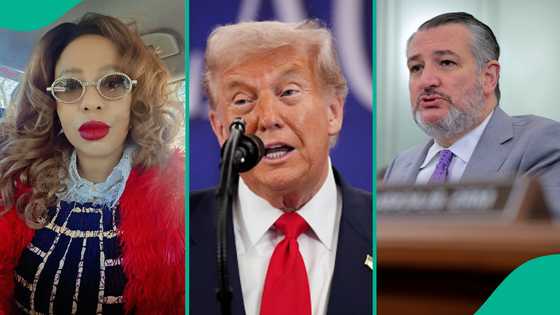 Lady mentions people who lobbied hard in America before Donald Trump's statement against Nigeria