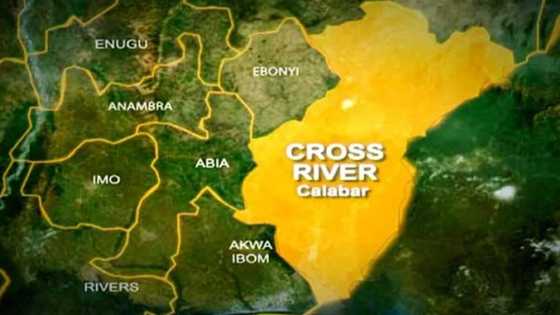 Cameroonian militants invade Nigeria, gun down 20 in Cross River