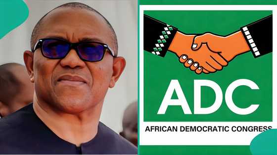 Step by step guide on how to deregister your membership from ADC after Peter Obi’s defection to NDC