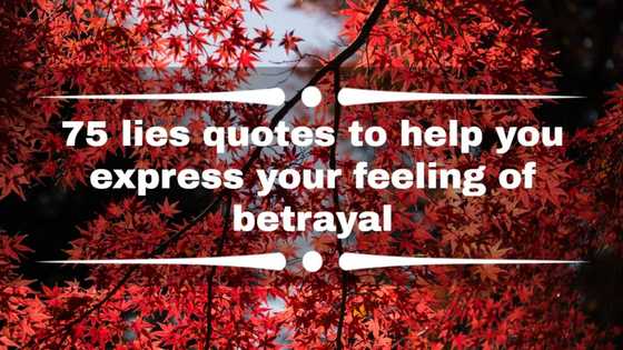 75 lies quotes to help you express your feeling of betrayal