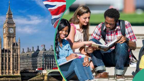 Nigeria leads in UK's list of top 5 countries with highest number of foreign students’ dependents