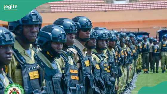 Matakan da gwamnonin Arewa suka hadu suka dauka na murkushe 'yan bindiga