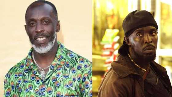 Michael K. Williams: The Wire, 12 Years A Slave actor found dead at his apartment