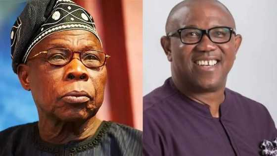 Mahadi Shehu ya fadi ‘Dan takaran da Obasanjo yake neman tallatawa a Arewa