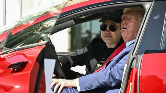 Tesla's EU sales plunge as Musk takes flak