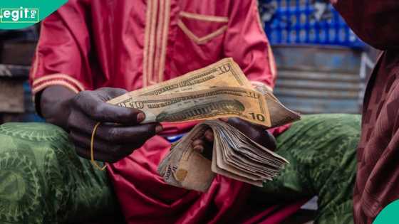 Naira crashes against US dollar, CBN releases new exchange rates