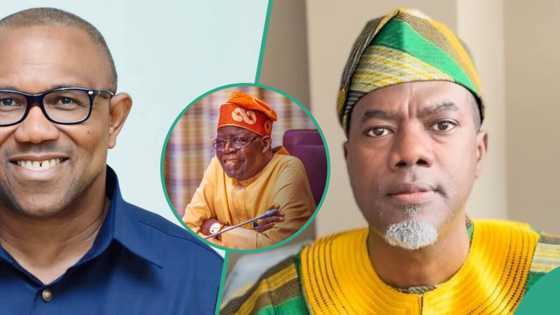 “Obidients, is Peter Obi still coming?”: Reno Omokri taunts Labour Party supporters