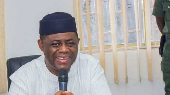 Alleged defection: Northern youth group gives PDP 24-hour ultimatum to meet Fani-Kayode