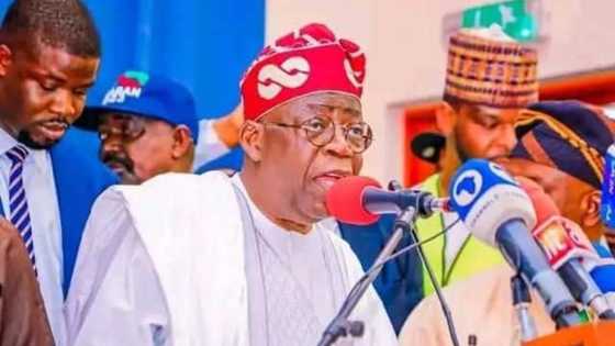 Haba, haba: Tinubu ya jawo cece-kuce, ya ce ana hada 'Hand Sanitizer' da masara