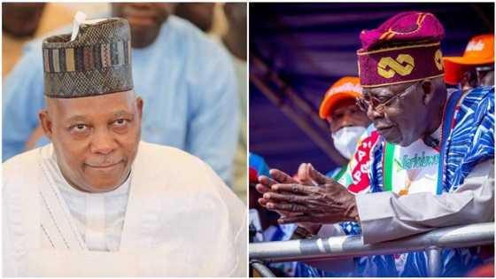 Muslim-Muslim ticket: aggrieved APC youths protest as leaders unveil Shettima as Tinubu’s running mate