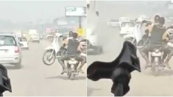 Wetin you no go see for Lagos? Massive reactions as man on bike carries another bike on his lap