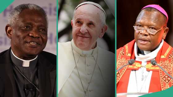 Pope Francis: Meet 2 African cardinals who may become the next pope