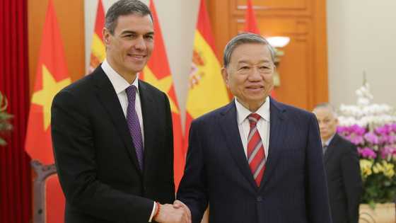 Vietnam, Spain pledge to upgrade ties after tariff shock