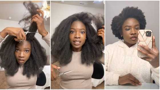 See hair wey we eey die for: Pretty TikToker cuts her long 'natural hair' with scissors, video shock ladies