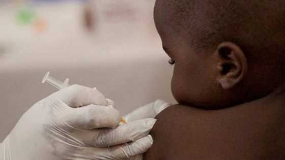 '51% of Sokoto children not fully immunised against childhood diseases', report says