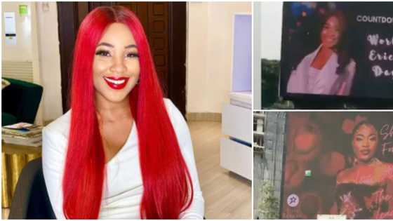 Erica's fans plaster her face on billboards across Lagos as they countdown to her birthday