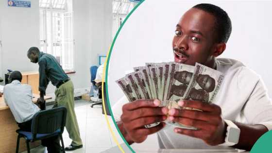 Access, Zenith, UBA, others reduce borrowing from CBN amid high Interest Rate