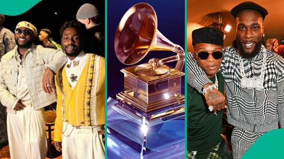 Davido, Burna Boy, Wizkid, others nominated for 68th Grammy award, Nigerians predict winner