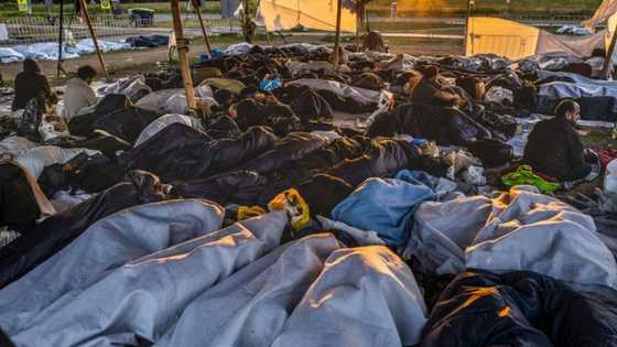 'Not coping': Crisis at overcrowded Dutch asylum centre