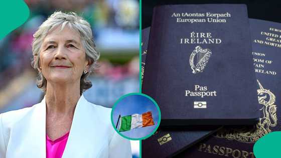 Ireland lists 6 documents foreigners must have before applying for citizenship