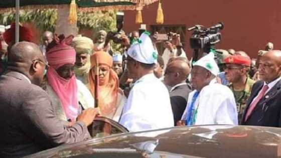 Sarki Muhammadu Sunusi ya cire ma Buhari hula game wani muhimmin aiki da yake yi