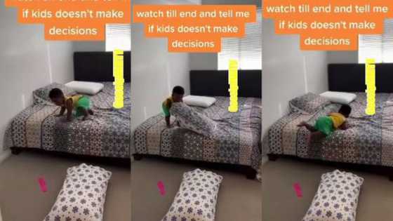 Brilliant little boy's trick dropping from bed leaves many surprised, video oes viral on Instagram