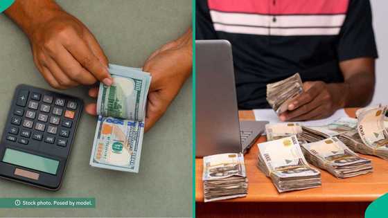 Dollar crashes below N1,400 at black market, traders announce new exchange rates