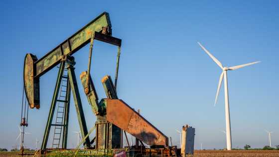 Oil giants TotalEnergies, Equinor reduce low-carbon investments