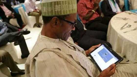 Bayan wata 11, Buhari ya dawo Twitter, 'yan Najeriya sun yi masa martani