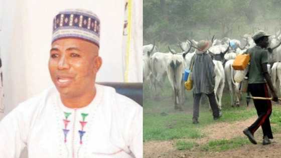 Hare-hare akan makiyaya: Miyetti Allah ta bawa gwamnatin tarayya wata shawara a fusace