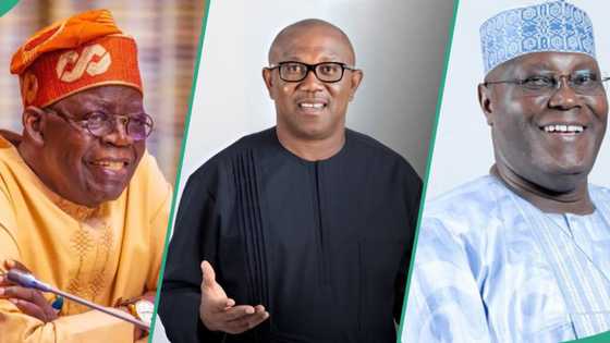 “How Atiku, Obi, Kwankwaso, others can defeat Tinubu in 2027”: Ex-APC NWC vice chairman Lukman spills
