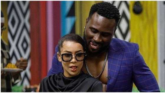 BBNaija: Pere, Maria escape eviction as housemates fail to discover them as wild cards, see how they voted