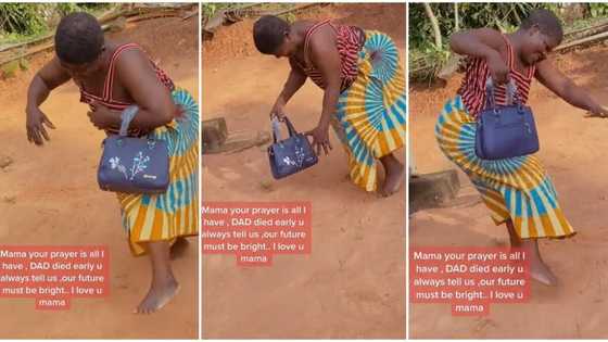 "Dad died early": Mother dances like a kid as her son buys her beautiful handbag, video trends on TikTok