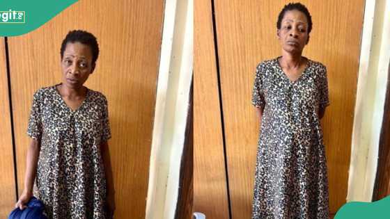 NDLEA arrests widow using fake pregnancy to traffic illicit drugs