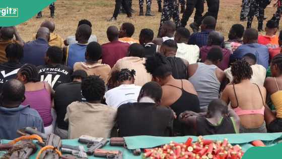 88 arrested, 4 killed as police raid kidnappers' hideout, rescue abducted victims