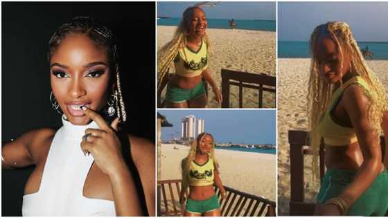 "Sabi girl no dey too like cloth": Funny reactions as Ayra Starr whines waist, shows off moves on a US beach