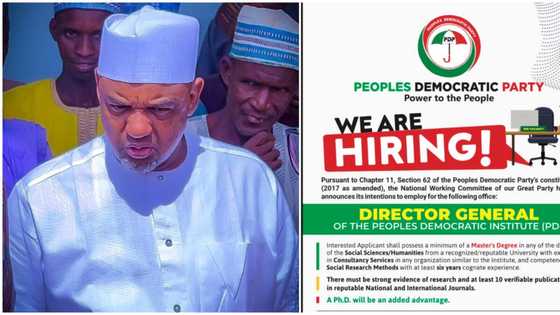 PDP da daukar aiki? Jama'a sun yi mamaki yayin da PDP ta ce za ta dauki aiki mai girma