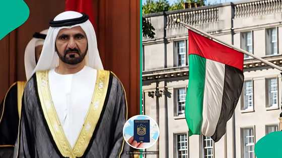 UAE publishes 5 categories of foreigners eligible for Golden Visa, lists key benefits
