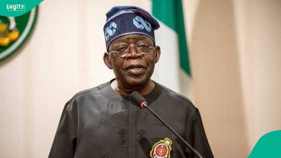 India, many other countries likely to reject Tinubu’s newly nominated ambassadors, reason emerges