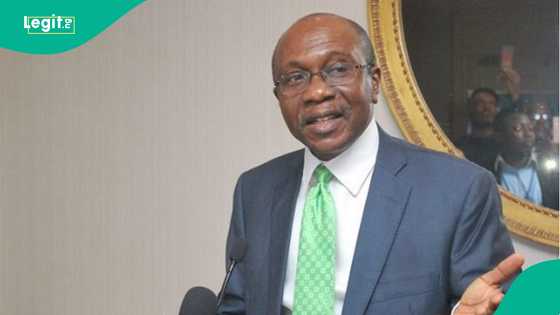 “Everything is for the camera”: Nigerians react as FG takes over Emefiele’s 753 housing units estate